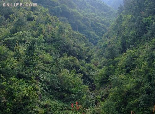 等待山花浪漫，等待一场春天的盛会.jpg