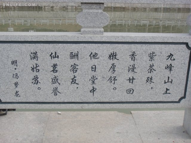 梦龙赞九峰茶.JPG