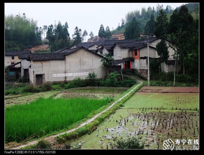 高山村