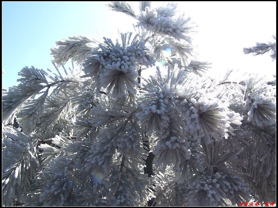 新年寿宁的第一场雪