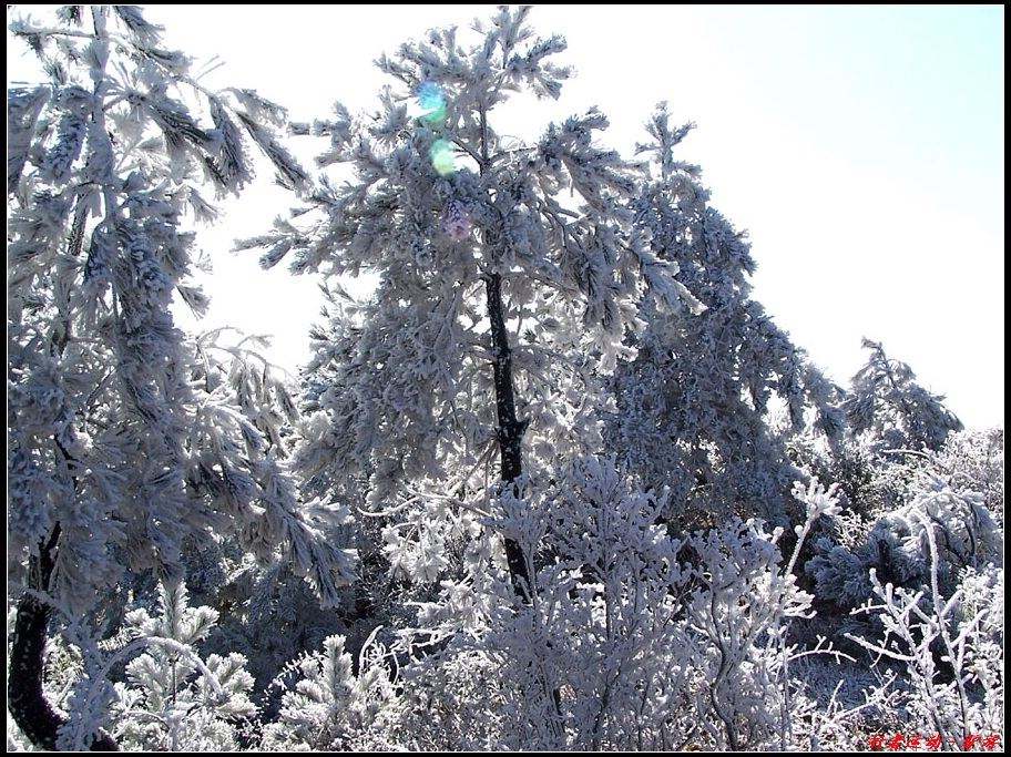 新年寿宁的第一场雪