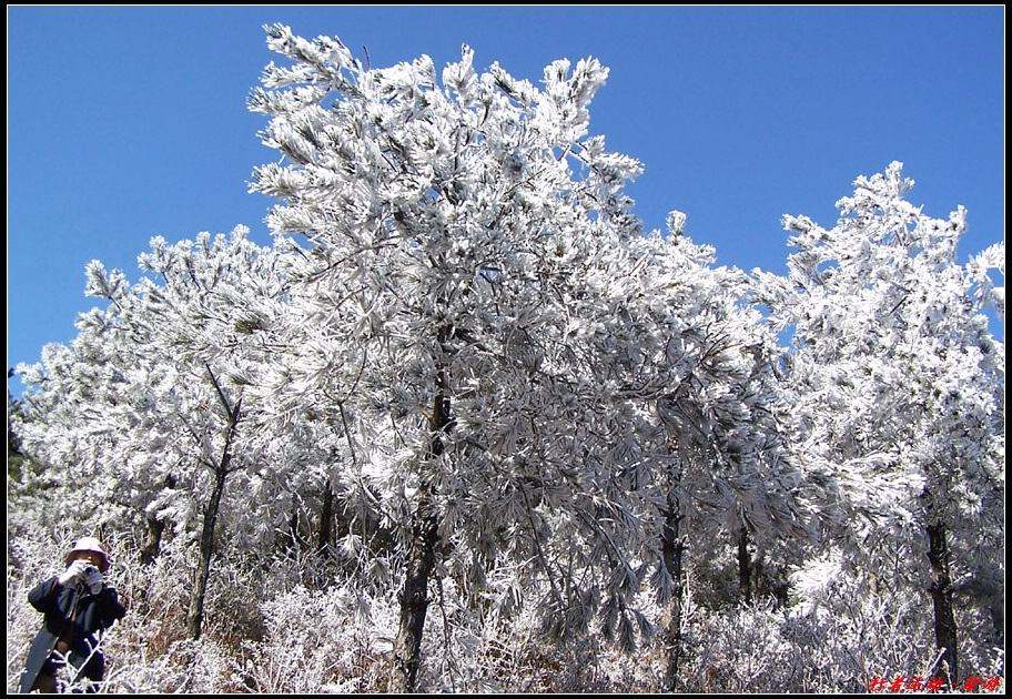 新年寿宁的第一场雪