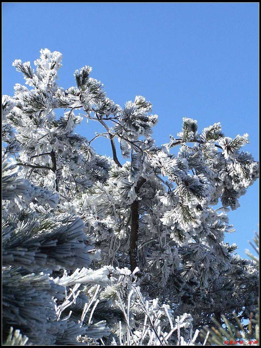 新年寿宁的第一场雪