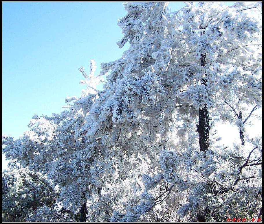 新年寿宁的第一场雪