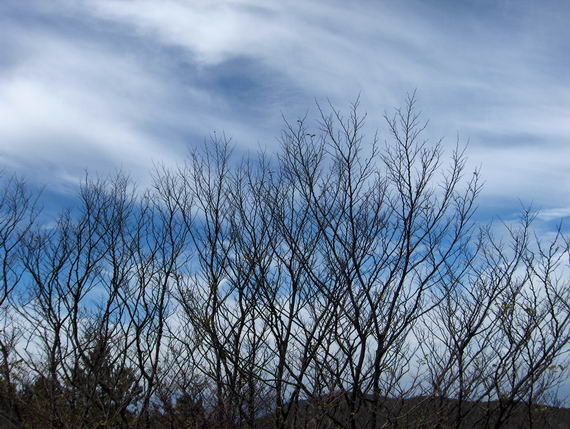 [原创]我曾在你寂寞的生命里走过(游三羊尖随感)