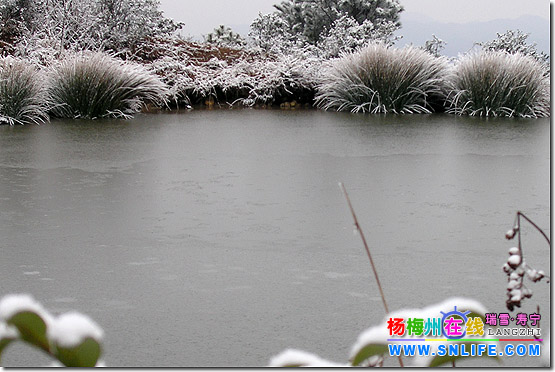 独闯卜蛇林（寿宁2006年第二场雪）