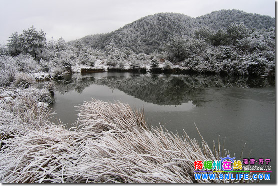 独闯卜蛇林（寿宁2006年第二场雪）