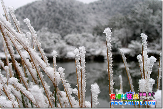 独闯卜蛇林（寿宁2006年第二场雪）