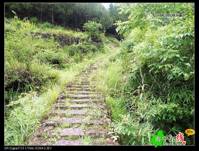 往前洋村的路上