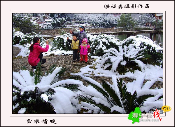 雪寒情暖.jpg