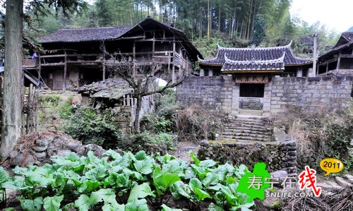 梦幻杨梅州-乡野即景_01.jpg