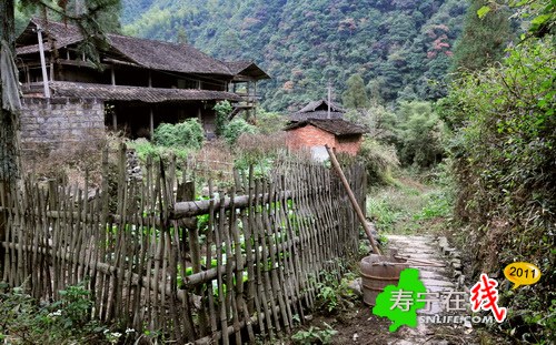 梦幻杨梅州-乡野即景_02.jpg