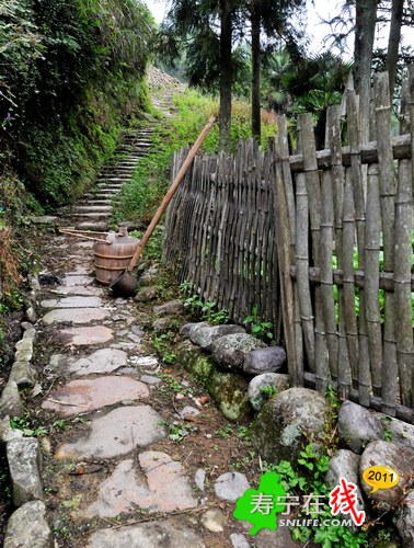 梦幻杨梅州-乡野即景_03.jpg