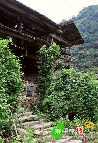 梦幻杨梅州-乡野即景_06.jpg