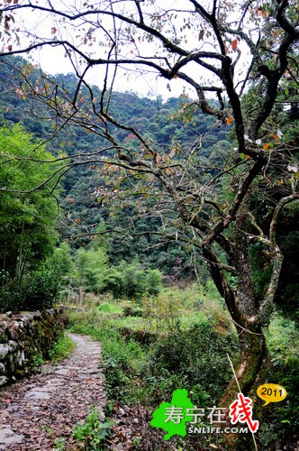 梦幻杨梅州-乡野即景_14.jpg