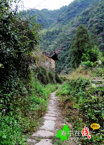 梦幻杨梅州-乡野即景_15.jpg