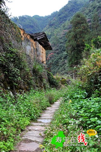 梦幻杨梅州-乡野即景_16.jpg