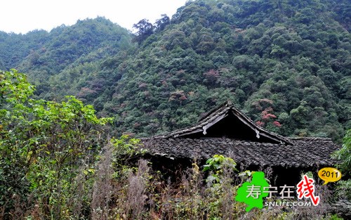 梦幻杨梅州-乡野即景_08.jpg