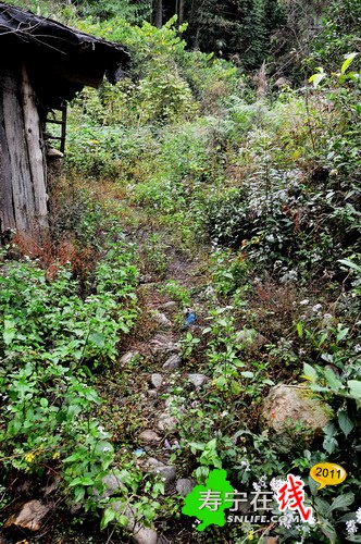 梦幻杨梅州-乡野即景_09.jpg