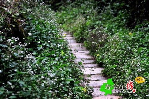 梦幻杨梅州-乡野即景_21.jpg