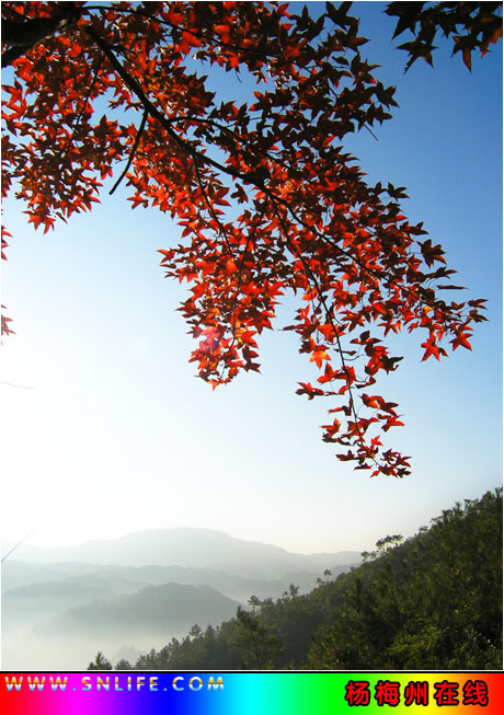 红叶知秋---再上高山岭采风