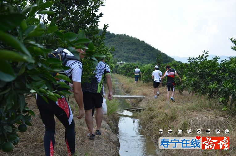 找果子吃，土豪骑友家的 不要钱钱哒