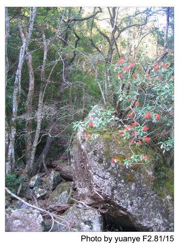 征服“小华山”(驴行图片记录)