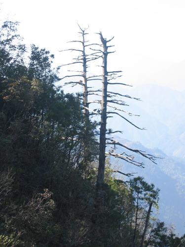 征服“小华山”(驴行图片记录)