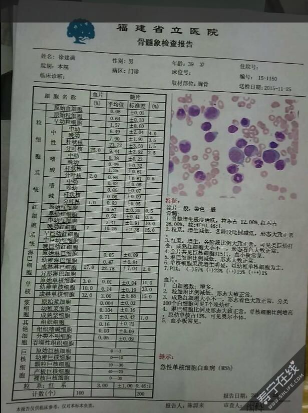 检查报告