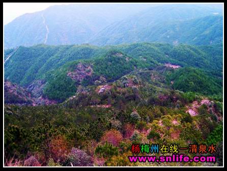 官台山探秘花絮