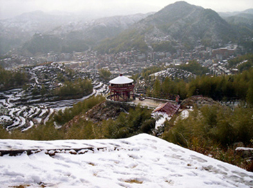 来几张雪景