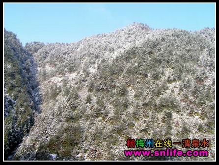 冬雪（今冬寿宁第一场雪）