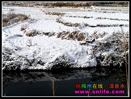 冬雪（今冬寿宁第一场雪）