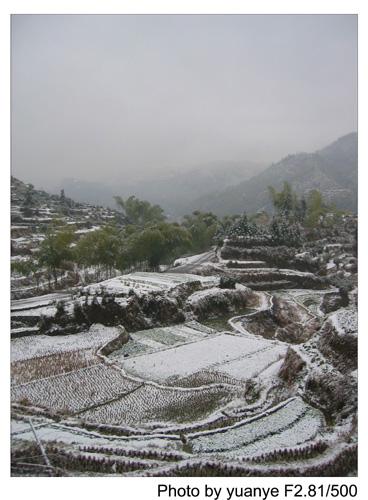 今年的第一场冬雪——中午拍于三峰寺