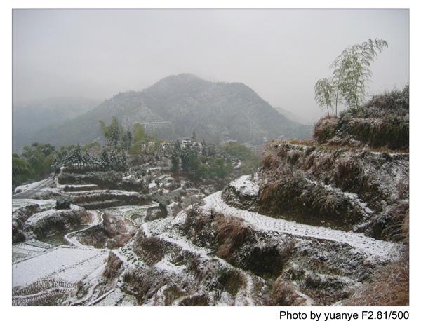 今年的第一场冬雪——中午拍于三峰寺