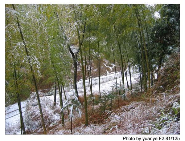 今年的第一场冬雪——中午拍于三峰寺