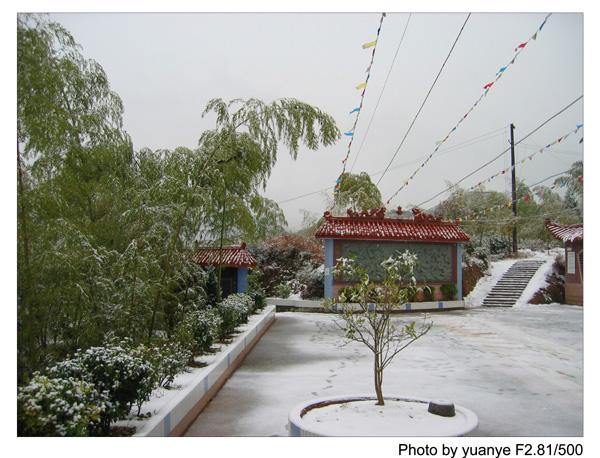 今年的第一场冬雪——中午拍于三峰寺