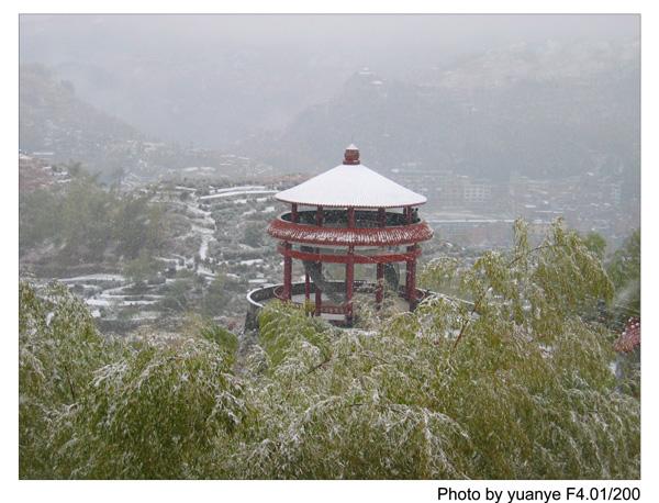 今年的第一场冬雪——中午拍于三峰寺