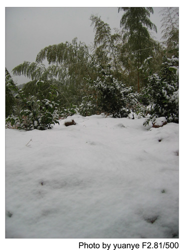 今年的第一场冬雪——中午拍于三峰寺