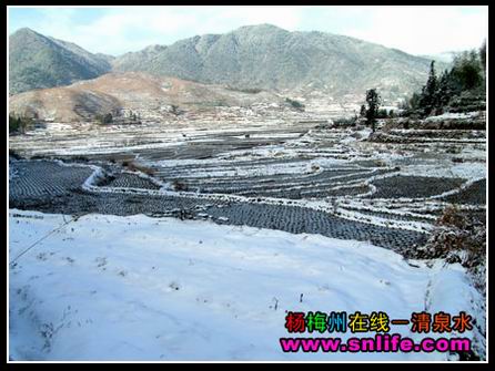 冬雪（今冬寿宁第一场雪）