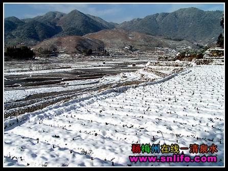 冬雪（今冬寿宁第一场雪）