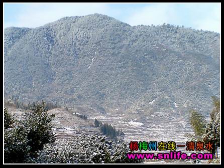 冬雪（今冬寿宁第一场雪）