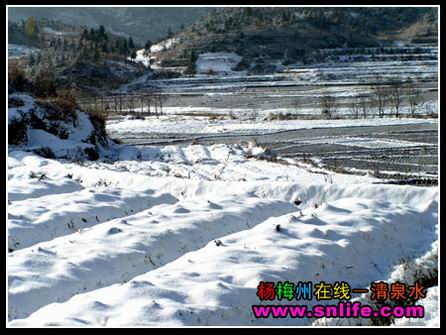 冬雪（今冬寿宁第一场雪）