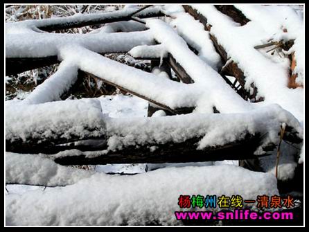 冬雪（今冬寿宁第一场雪）