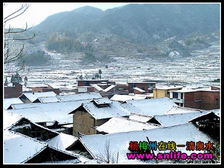 冬雪（今冬寿宁第一场雪）