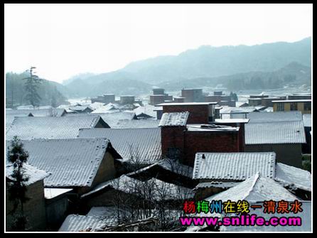 冬雪（今冬寿宁第一场雪）