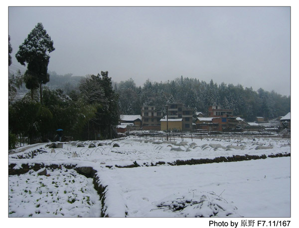 岁首的那场雪……