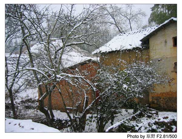 岁首的那场雪……