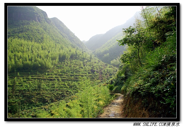 阳深坑之旅