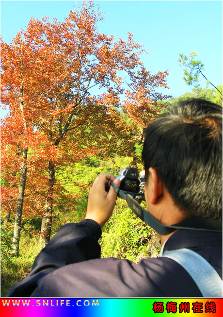 红叶知秋---再上高山岭采风